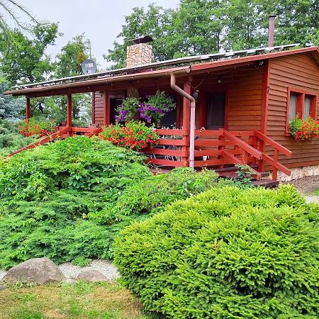 U Sosenki Villa Morzecin Maly Dış mekan fotoğraf