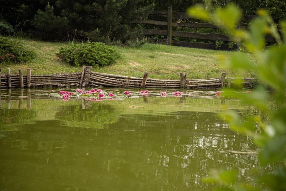 U Sosenki Villa Morzecin Maly Dış mekan fotoğraf