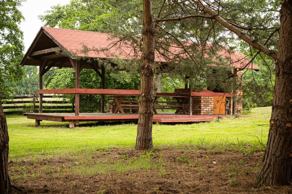 U Sosenki Villa Morzecin Maly Dış mekan fotoğraf