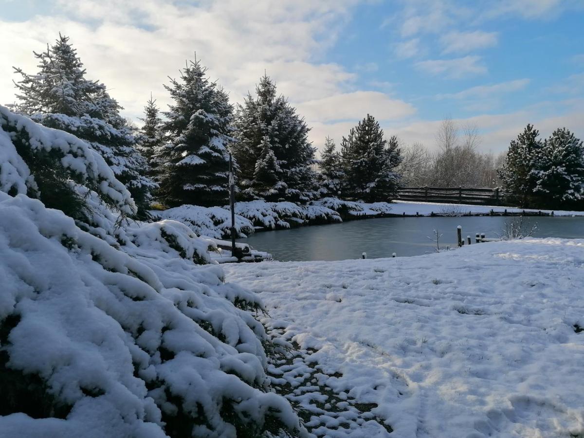 U Sosenki Villa Morzecin Maly Dış mekan fotoğraf
