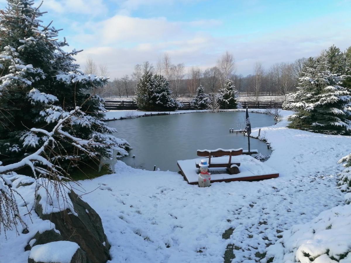 U Sosenki Villa Morzecin Maly Dış mekan fotoğraf