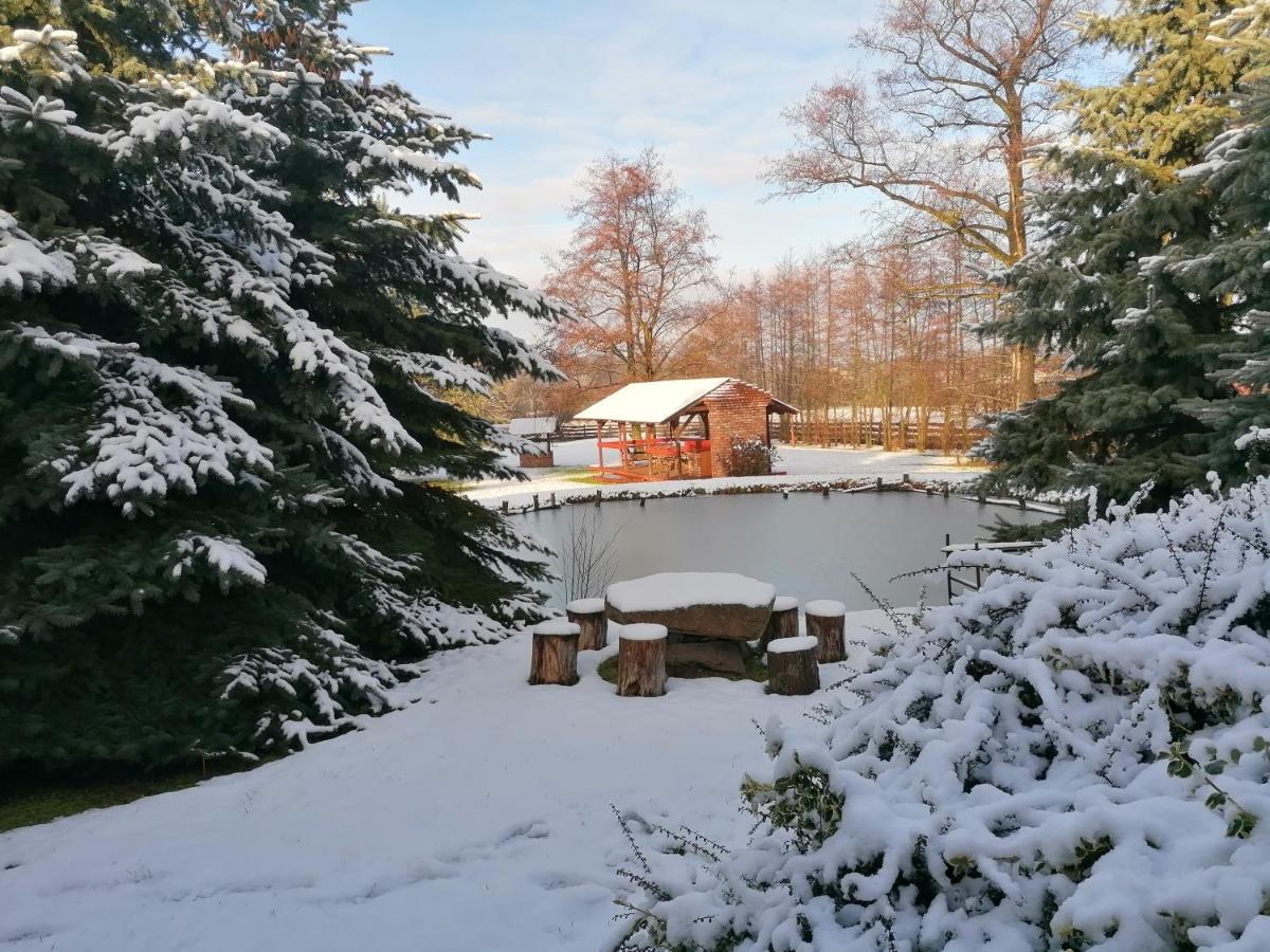 U Sosenki Villa Morzecin Maly Dış mekan fotoğraf
