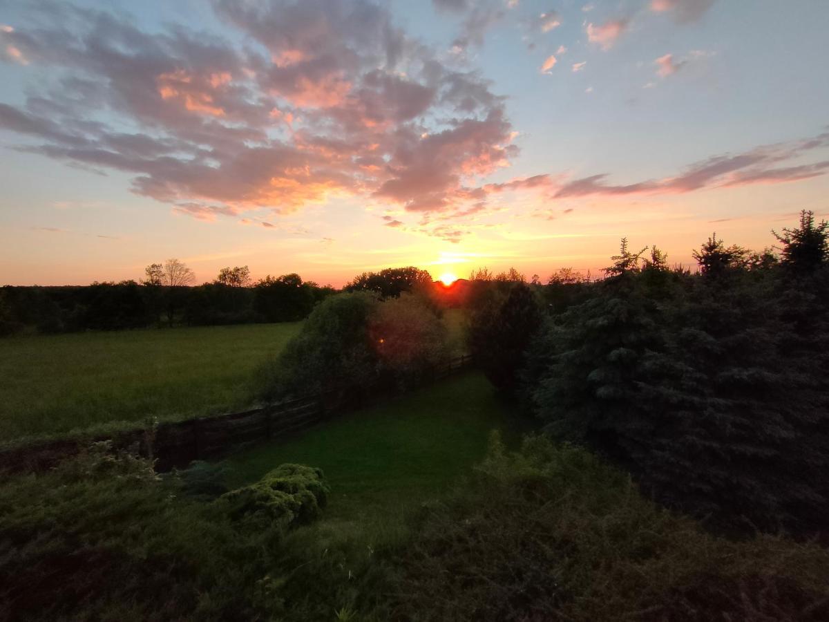 U Sosenki Villa Morzecin Maly Dış mekan fotoğraf