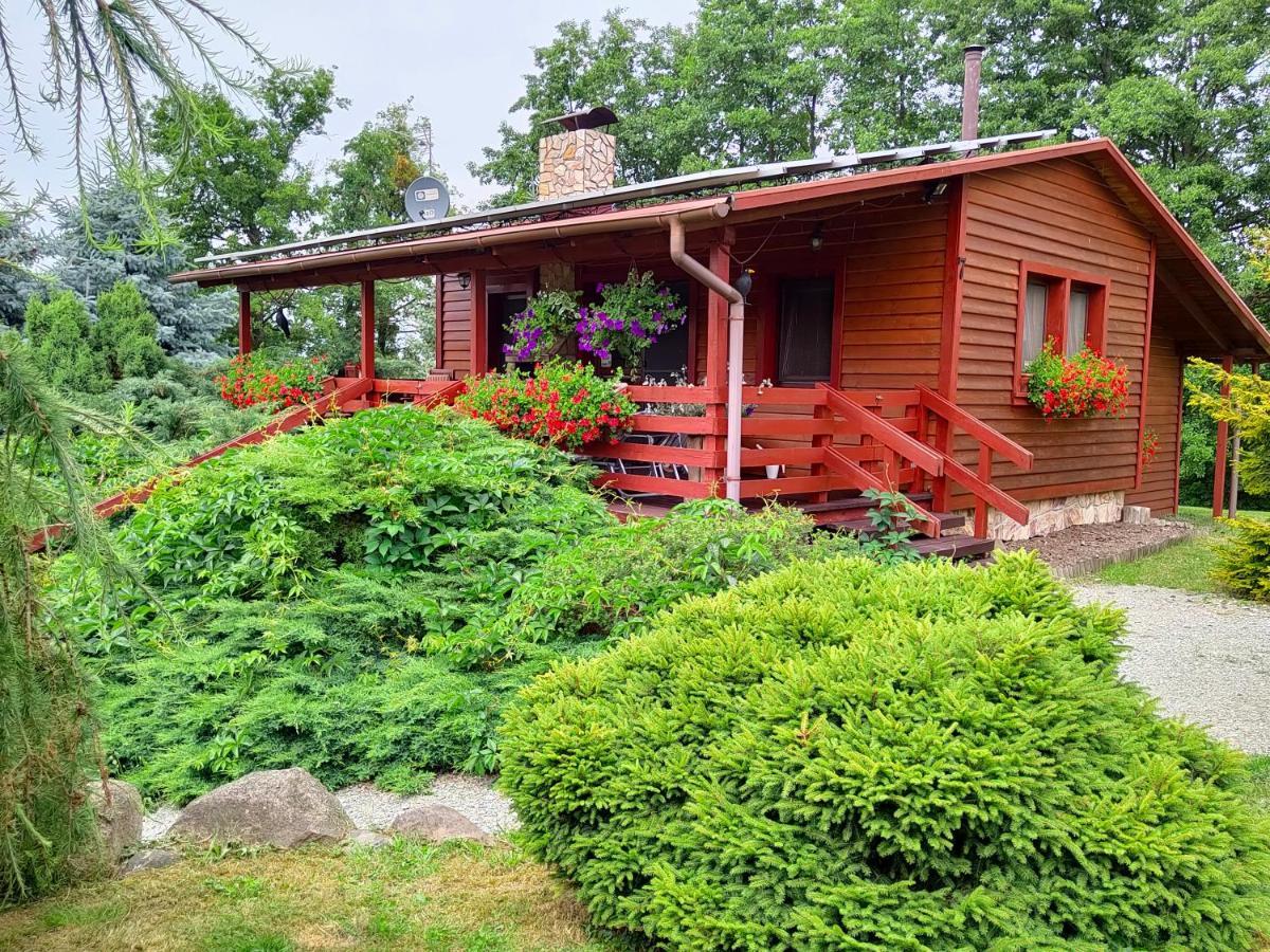 U Sosenki Villa Morzecin Maly Dış mekan fotoğraf
